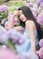 霍總，傲氣前妻不好追