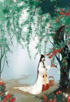 太子妃是朵黑蓮花