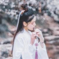 將門皇妃