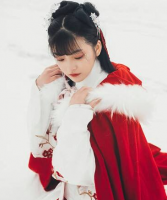 特工傻妃鬧皇城