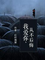 我愛你，從不后悔