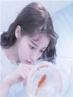 愛如浮光掠影