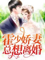 霍少嬌妻總想離婚