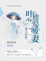 婚入佳境，葉少獨(dú)愛(ài)暖妻