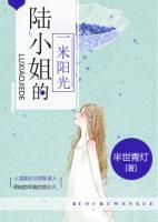 陸小姐的一米陽光