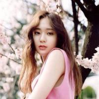 隱婚秘愛：沈少請放手