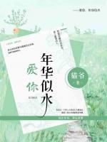 愛你年華似水