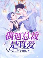 偶遇總裁是真愛(ài)