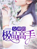 女神的極品高手