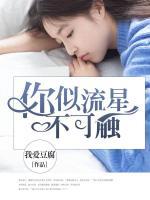 你似流星不可觸
