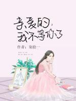親愛的，我不等你了