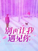 別再讓我遇見你