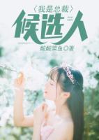 我是總裁候選人