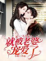 一不小心就被老婆寵愛了