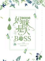 天價萌寶：媽咪是大BOSS