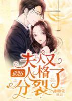 BOSS，夫人又人格分裂了