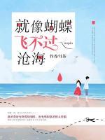 就像蝴蝶飛不過滄海