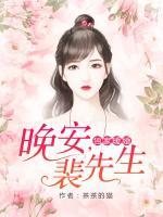 獨家暖婚：晚安，裴先生