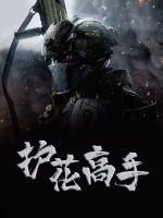 護(hù)花高手
