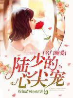 名門纏愛：陸少的心尖寵