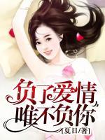負了愛情，唯不負你