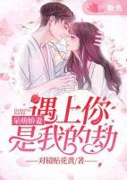 呆萌嬌妻：遇上你是我的劫