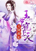 天降萌妃：王爺寵上天