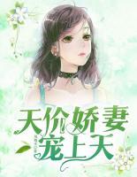 天價嬌妻寵上天