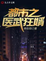 都市之醫(yī)武狂婿