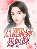 萌寶坑爹，總裁別纏我媽咪