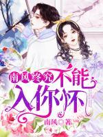 南風(fēng)終究不能入你懷