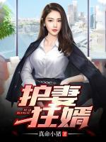 護(hù)妻狂婿