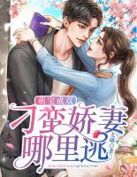萌寶成雙：刁蠻嬌妻哪里逃