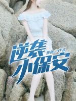 逆襲小保安