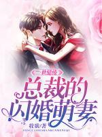 一世繾綣：總裁的閃婚萌妻