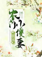 農(nóng)門狀元小傻妻
