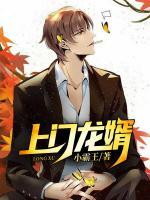 龍婿臨門