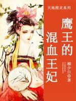 天地精靈：鷹王的混血王妃