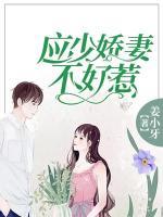 應(yīng)少嬌妻不好惹