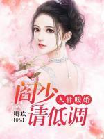 入骨暖婚：閻少請低調
