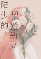 陸少的契婚新妻