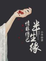 情非得已半生緣
