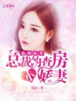 盛寵：總裁的新婚妻