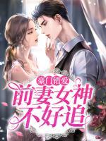 豪門錯(cuò)愛：前妻女神不好追