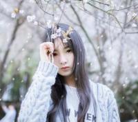 總裁爹地追妻計