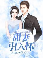 總裁追妻：甜妻，引入懷