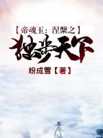 帝魂玉：涅槃之獨(dú)步天下