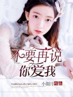 不要再說(shuō)你愛(ài)我