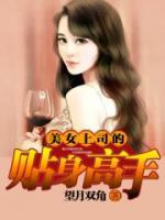 美女上司的貼身高手
