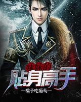 妹妹的貼身高手